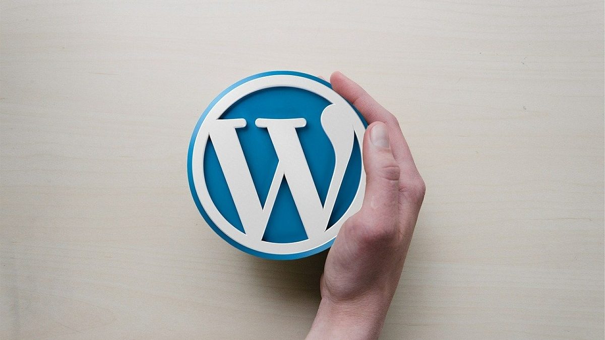 Una solución no tan perfecta: Problemas de usar temas gratuitos de WordPress